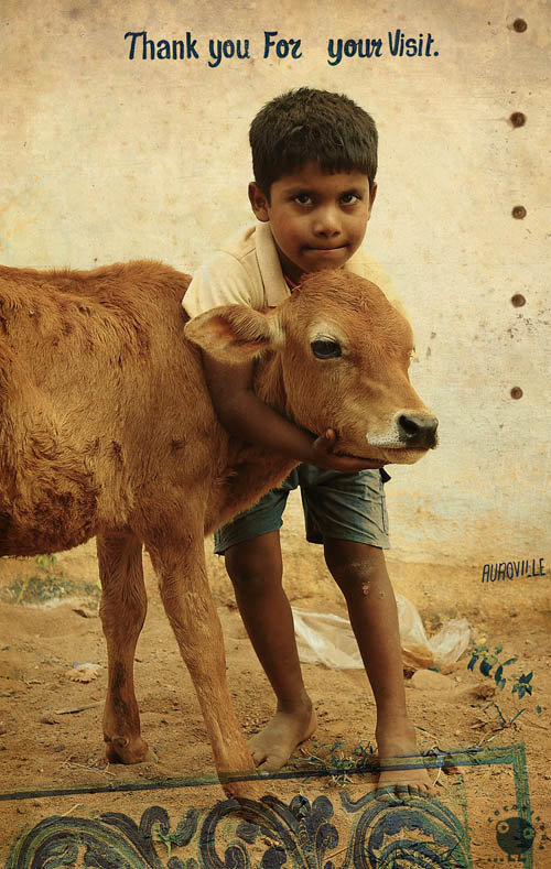 "Letters from India". Thank you For your Visit. Auroville.