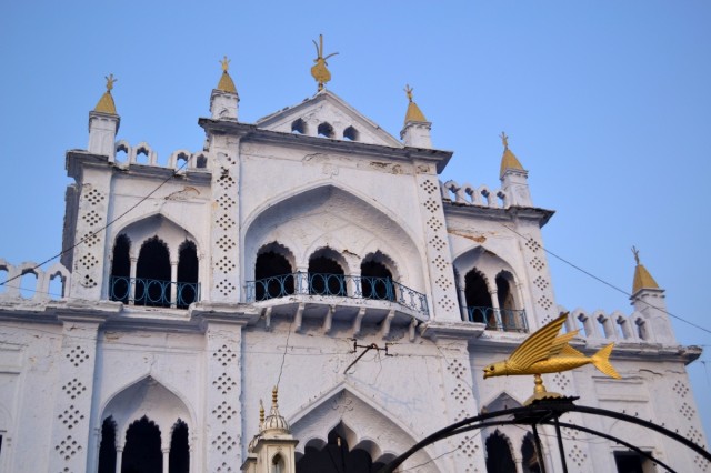 vorota (i klassnaya rybka)