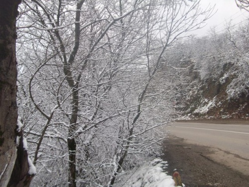 Фото 1 Фото 1