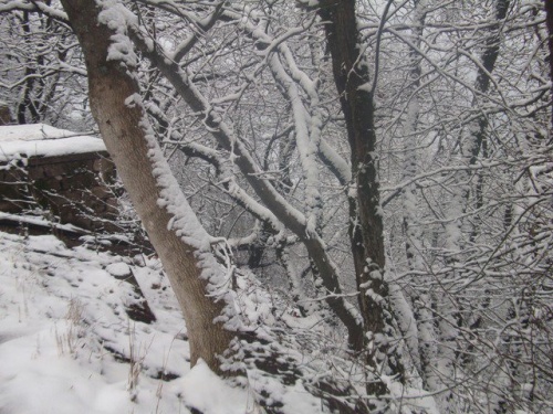 Фото 2 Фото 2