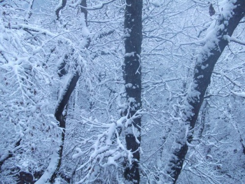 Фото 3 Фото 3