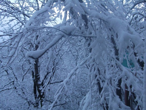 Фото 4 Фото 4