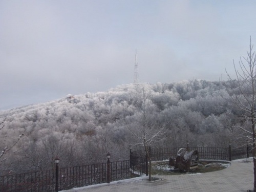 Фото 6 Фото 6