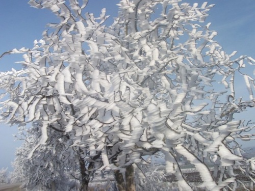 Фото 7 Фото 7