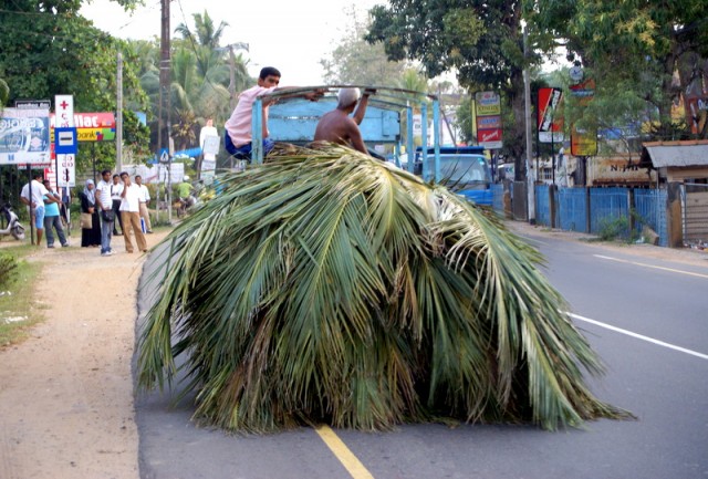 Стожок из бамбуковых листьев подметает дорогу