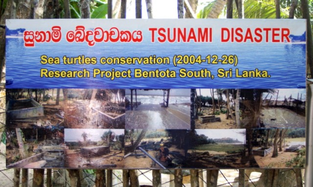 Информационный стенд  о разрушительном цунами 2004 г.