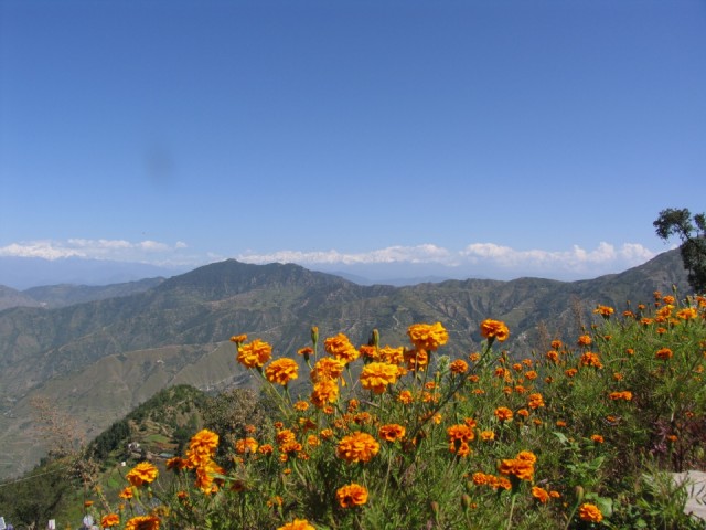 Mussoorie1