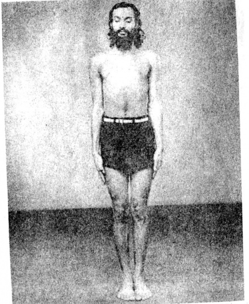  :         ,   ,     .