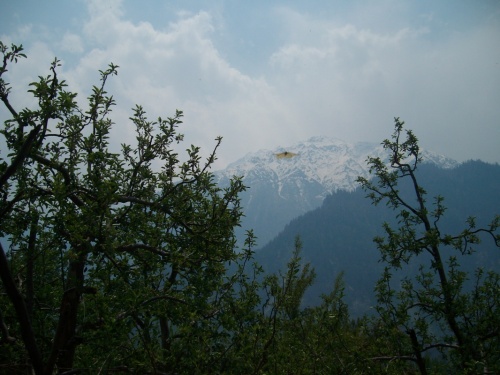 Kinnor Kailash,Sangla village,Kinnor valley,H.p