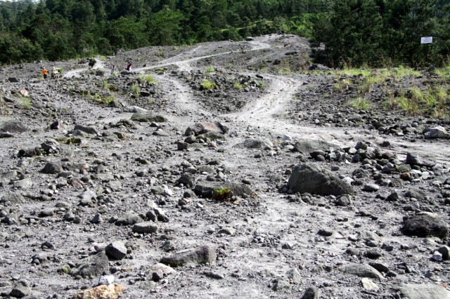  2006 .       ,      4 