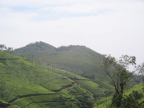 Западные Гхаты Западные Гхаты
