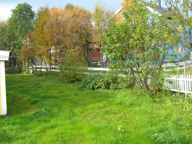 Сентябрь в Заполярье Сентябрь в Заполярье