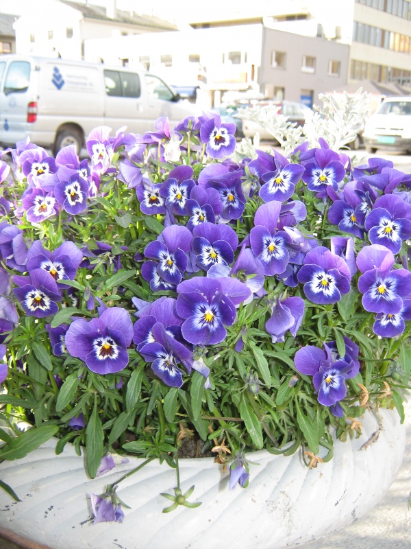 Фото 10 Фото 10