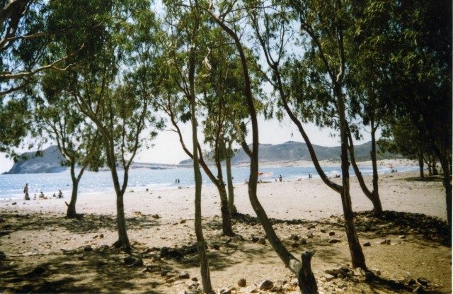 La Playa de los Genoveses