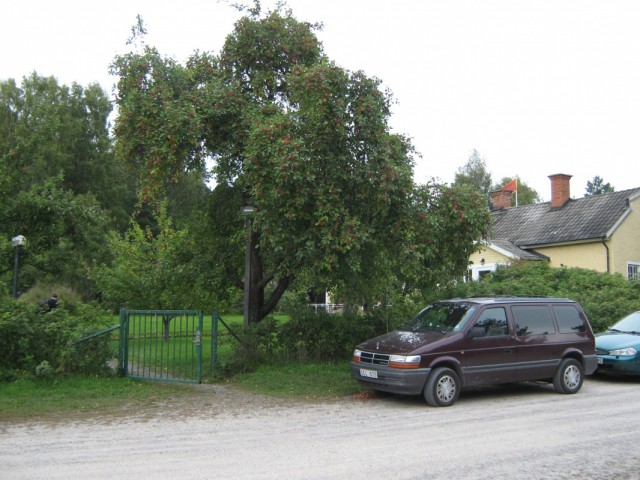 Добро пожаловать в Кошнас! Добро пожаловать в Кошнас!