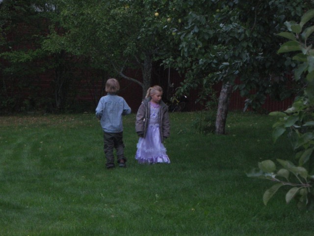 В шведских садах Радхики В шведских садах Радхики