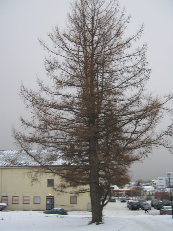 -   -    ...       !