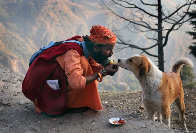 "      !"     ,     !