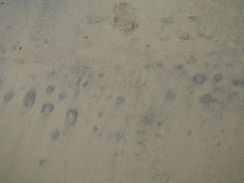 А еще самопроизвольно песок становится леопардовым :)
