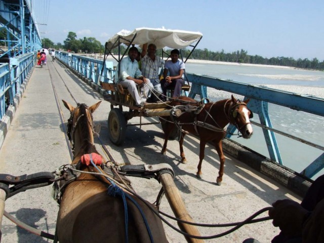 Фото 1 Фото 1