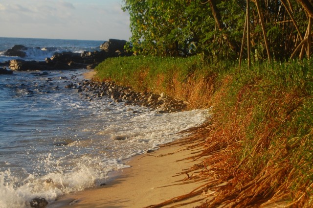 Ranlakshmi Paradaise Beach.