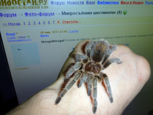 Фото 1 Фото 1