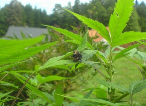 Фото 1 Фото 1