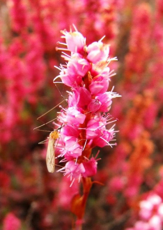 Фото 1 Фото 1