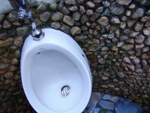 Большие чёрные муравьи на писсуаре- о. Ко Чанг. Большие чёрные муравьи на писсуаре- о. Ко Чанг.