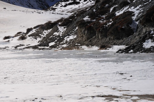 Фото 6 Фото 6