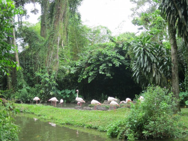 Фото 10 Фото 10