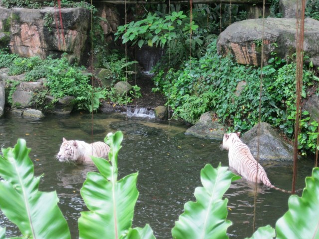 Фото 11 Фото 11