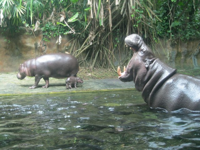 Фото 12 Фото 12