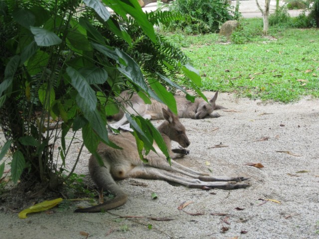 Фото 13 Фото 13
