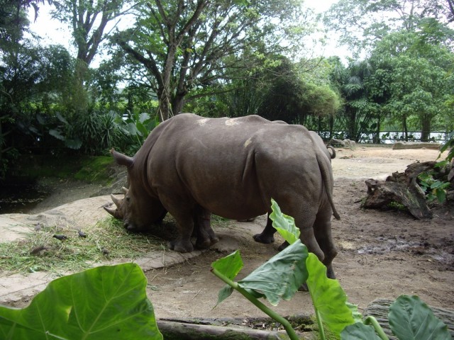 Фото 16 Фото 16