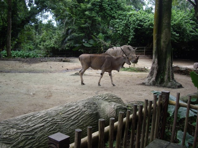 Фото 17 Фото 17
