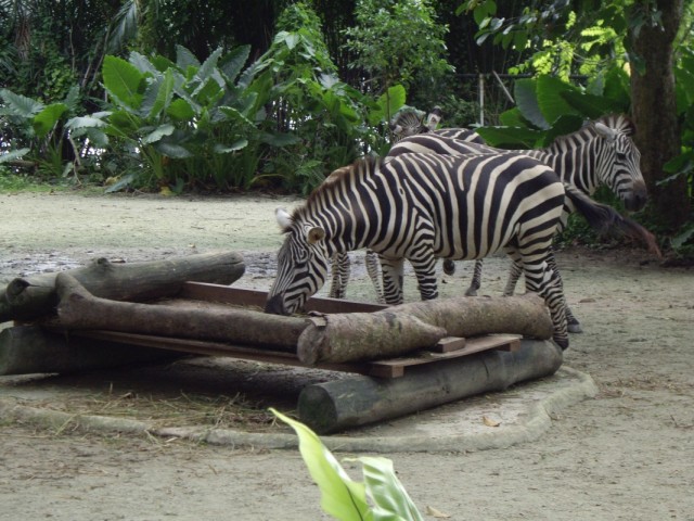 Фото 18 Фото 18