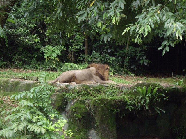 Фото 19 Фото 19