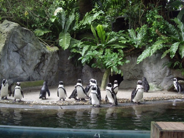 Фото 20 Фото 20