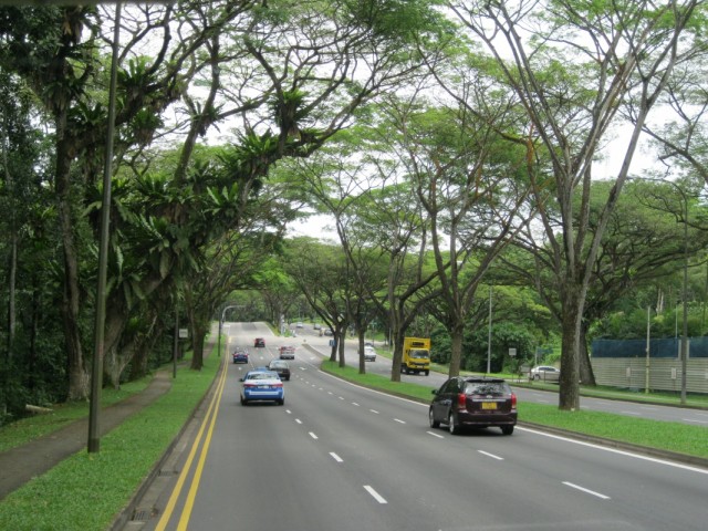 По дороге в зоопарк По дороге в зоопарк