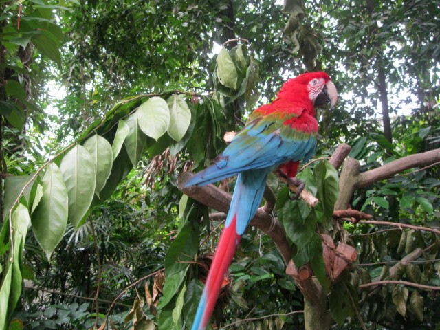 Фото 5 Фото 5