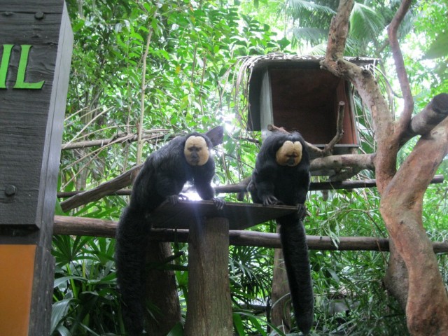 Фото 6 Фото 6