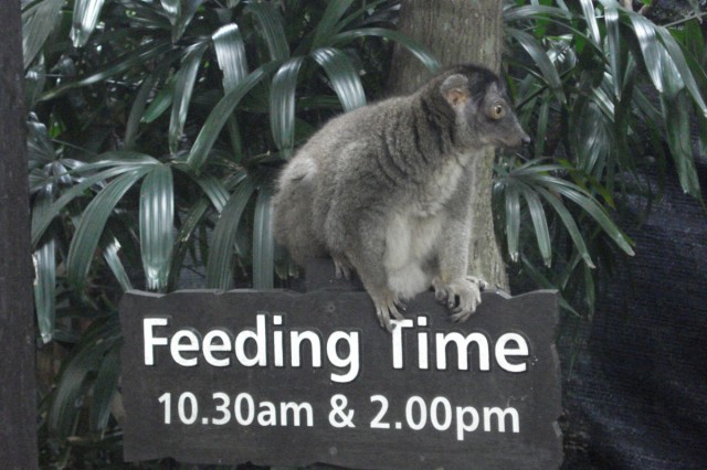 Фото 7 Фото 7