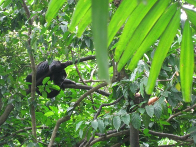 Фото 8 Фото 8