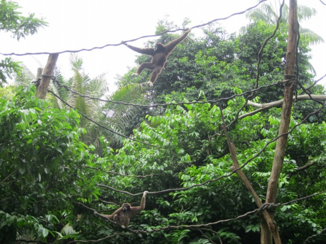 Фото 9 Фото 9