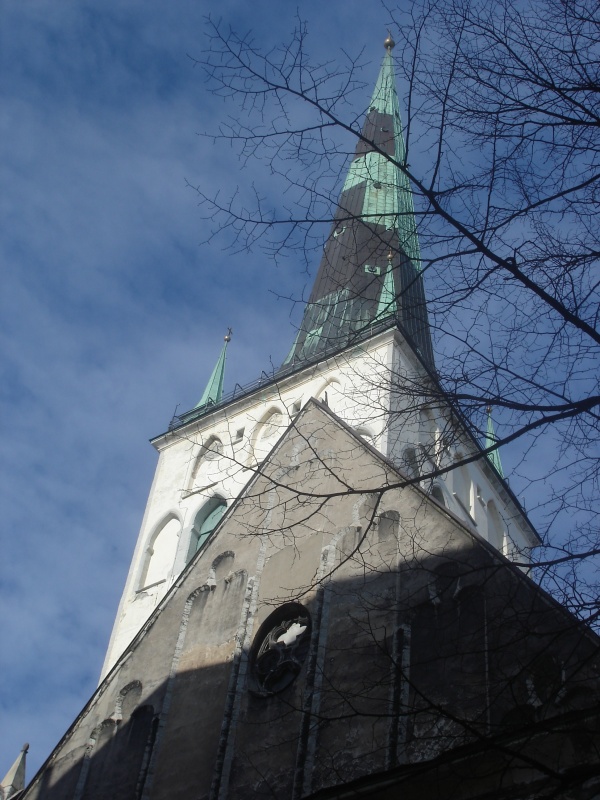 Фото 5 Фото 5