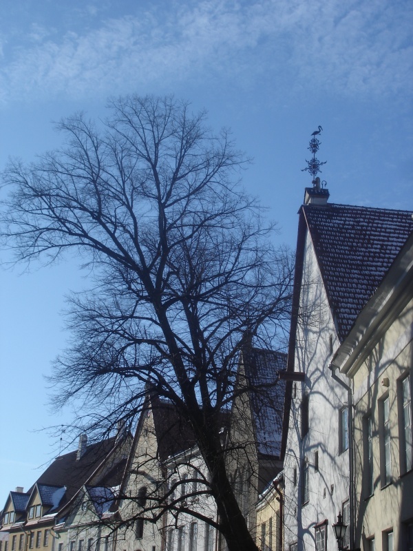 Фото 7 Фото 7