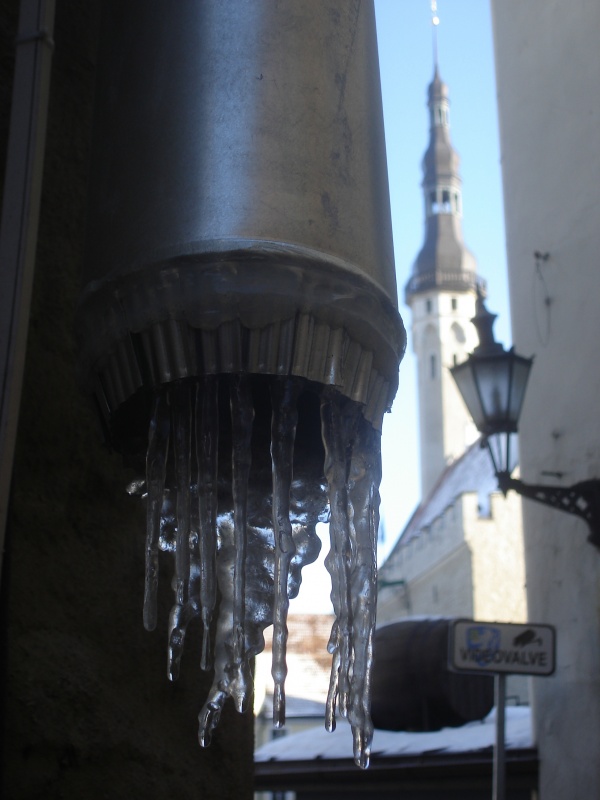 Фото 10 Фото 10