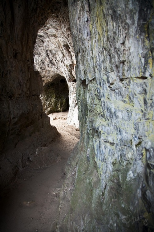 Недалеко от Манжерка в туристско-рекреационной зоне "Бирюзовая Катунь" находятся Тавдинские пещеры.
