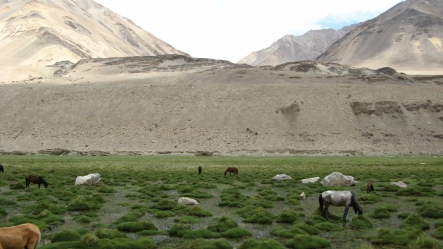 .   .  Tangtse   Pangong Tso, 